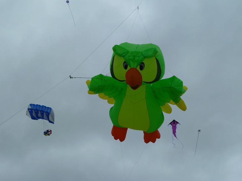Fanø 2010 111.JPG